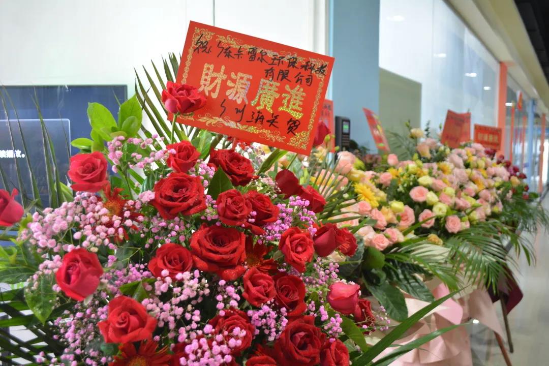 跑出世界速度，環(huán)保紙模先行者卡雷爾落地南沙